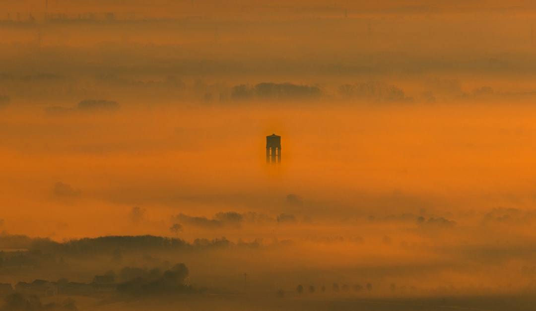 Weinberg im Morgennebel bei Hambach – WordPress Spezialist Bad Kreuznach